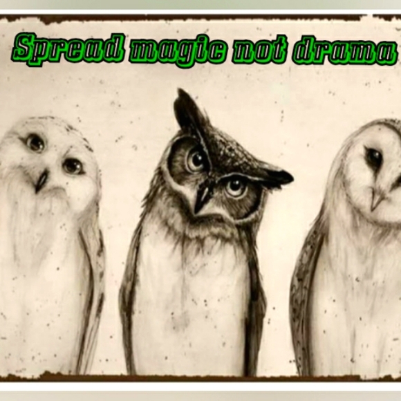 Stevie Nicks live show at 2pm CT. Please come twirl and sell with me.🖤🌛🕊🎤 - Picture 7 of 9